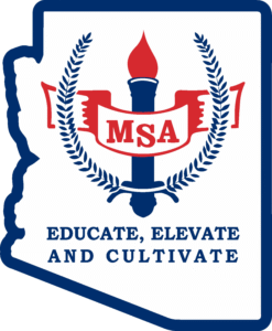 State Patch MSA